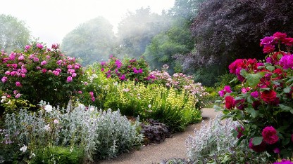 Secret gardens image