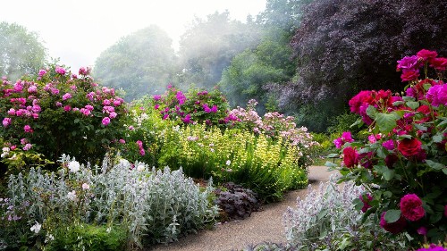 Fowey Festival Secret Gardens